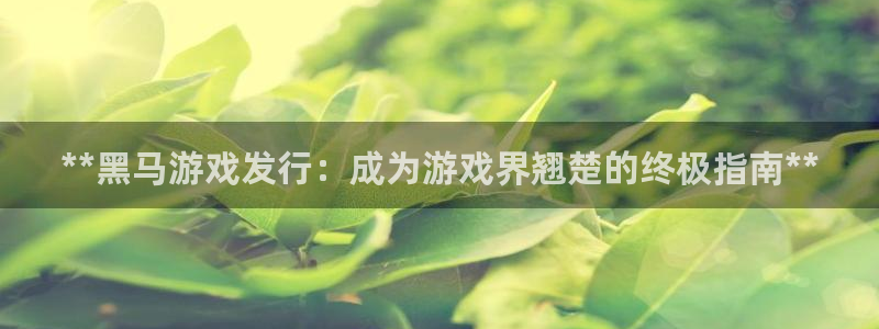 新航娱乐的背景和历史背景介绍：**黑马游戏发行：成为游戏界翘楚的终极指南**