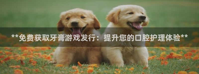 新航娱乐旗下平台有哪些：**免费获取牙膏游戏发行：提升您的口腔护理体验**
