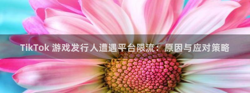 新航娱乐公司扣费流程详解视频下载：TikTok 游戏发行人遭遇平台限流：原因与应对策略