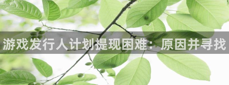新航娱乐公司简介和历史背景分析：游戏发行人计划提现困难：原因并寻找