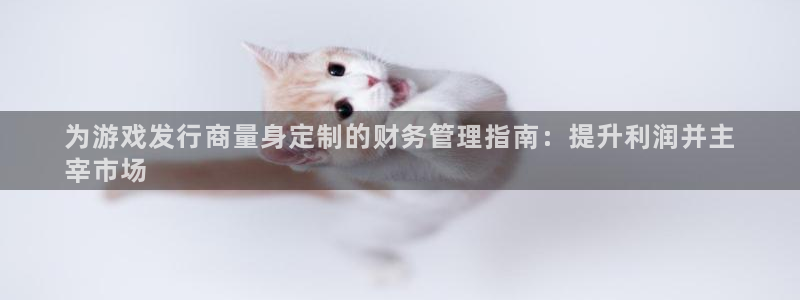 新航娱乐公司扣费流程详解表格：为游戏发行商量身定制的财务管理指南：提升利润并主
宰市场