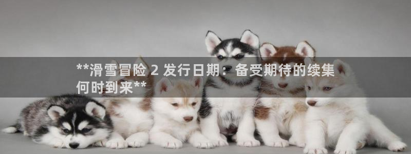 新航娱乐公司扣费流程详解视频大全：**滑雪冒险 2 发行日期：备受期待的续集
何时到来**