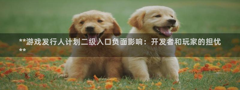 新航娱乐旗下艺人列表：**游戏发行人计划二级入口负面影响：开发者和玩家的担忧
**