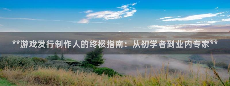 新航娱乐飞.3.3.4.8.2新航娱乐.可以吗.长久.中国：**游戏发行制作人的终极指南：从初学者到业内专家**