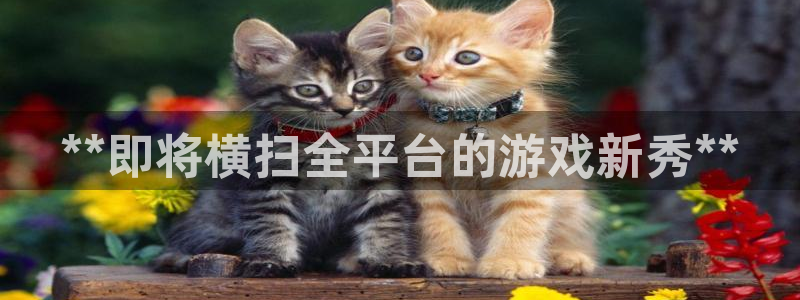 新航娱乐平台app下载：**即将横扫全平台的游戏新秀**