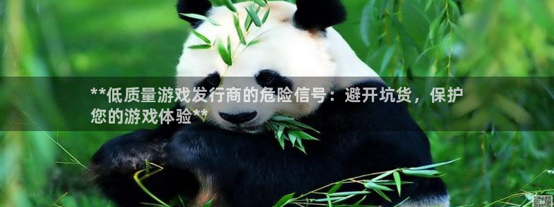 新航娱乐的创始人背景是谁：**低质量游戏发行商的危险信号：避开坑货，保护
您的游戏体验**