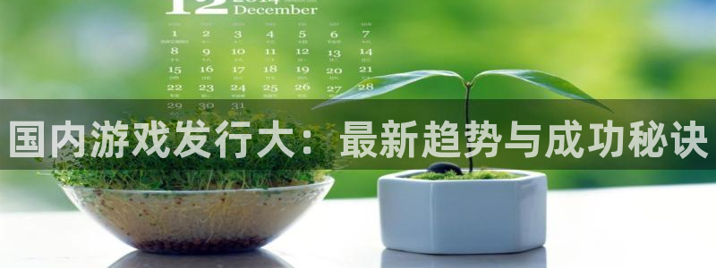 新航娱乐app最新版本更新内容是什么：国内游戏发行大：最新趋势与成功秘诀