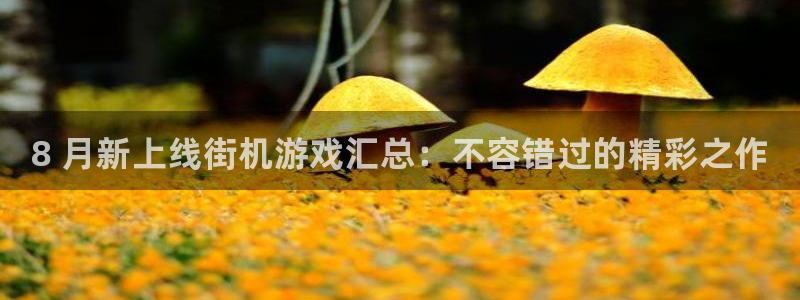 新航娱乐的股东名单和背景介绍是什么