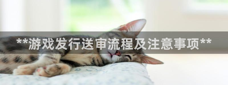 新航娱乐背后的老板是谁：**游戏发行送审流程及注意事项**