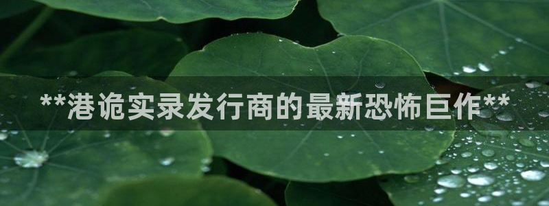 新航娱乐招商碰回复 485624 多少钱