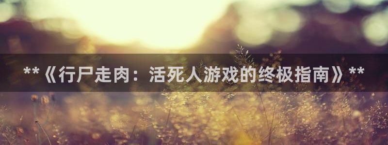 新航娱乐公司简介和历史背景介绍