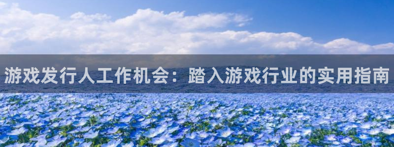 新航娱乐平台用户评价及反馈：游戏发行人工作机会：踏入游戏行业的实用指南