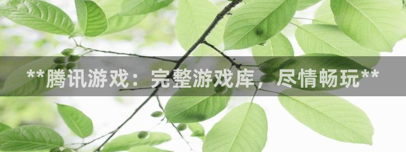 新航娱乐的创始人简介图片：**腾讯游戏：完整游戏库，尽情畅玩**