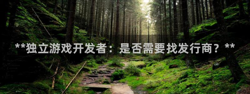 新航娱乐扣款后还能重新扣吗：**独立游戏开发者：是否需要找发行商？**