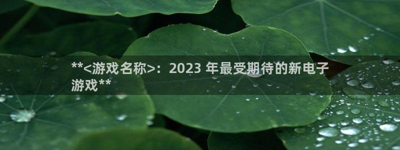 新航娱乐公司旗下艺人都有谁：**<游戏名称>：2023 年最受期待的新电子
游戏**