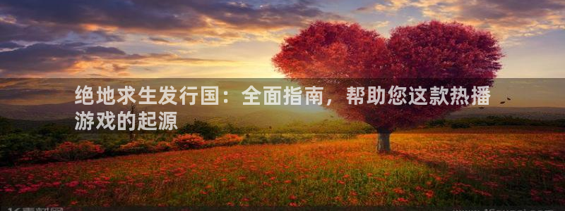 新航娱乐app的最新版本更新内容