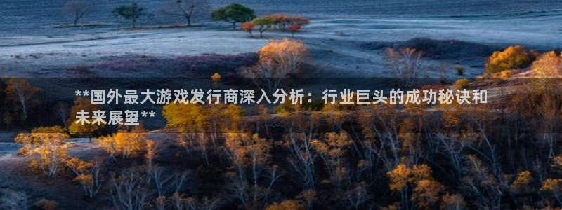 新航娱乐公司简介和历史背景