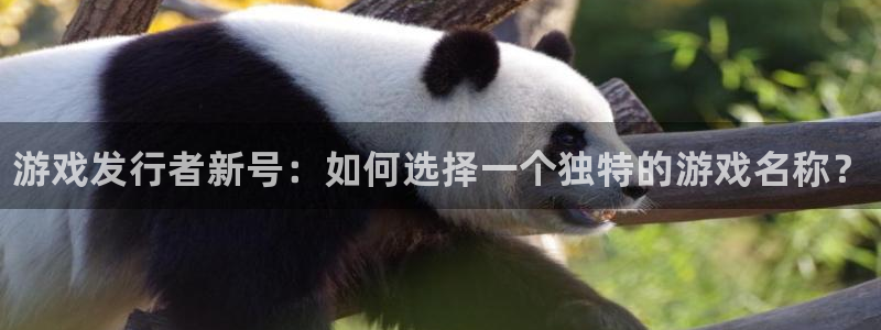 新航娱乐官网下载app：游戏发行者新号：如何选择一个独特的游戏名称？