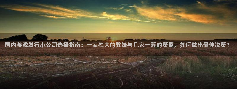 新航娱乐公司扣费流程详解：国内游戏发行小公司选择指南：一家独大的弊端与几家一筹的策略，如何做出最佳决策？