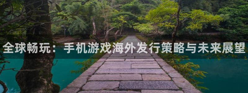 新航娱乐注册平台：全球畅玩：手机游戏海外发行策略与未来展望