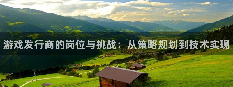 新航娱乐的股东名单和背景介绍是什么：游戏发行商的岗位与挑战：从策略规划到技术实现