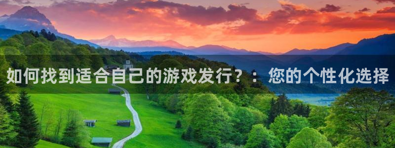 新航娱乐app手机版官网：如何找到适合自己的游戏发行？：您的个性化选择