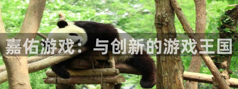 新航娱乐的股东名单和背景介绍：嘉佑游戏：与创新的游戏王国