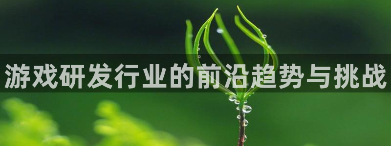 新航娱乐公司旗下艺人有哪些：游戏研发行业的前沿趋势与挑战