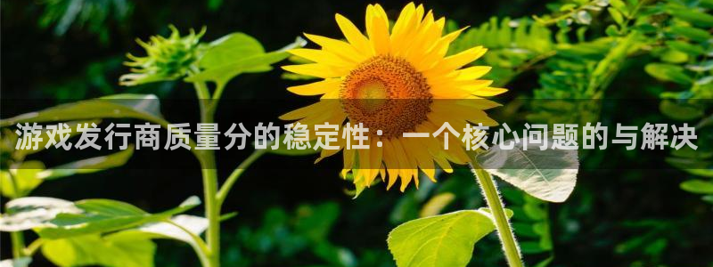 新航娱乐公司简介和历史背景怎么写：游戏发行商质量分的稳定性：一个核心问题的与解决