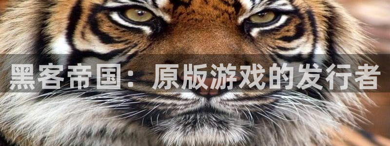 新航娱乐的员工工资福利及待遇：黑客帝国：原版游戏的发行者